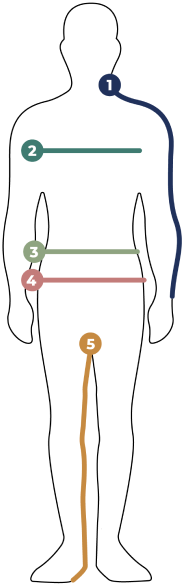 Outline of a man showing each relevant measurement for Daniel Buchler attire