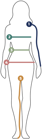 Outline of a woman showing each relevant measurement for Daniel Buchler attire